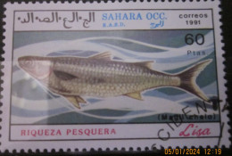 SAHARA OCC. R.A.S.D. ~ 1991 ~ FISH. ~ 'LOT C' ~ VFU #03697 - Africa (Varia)