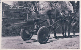 Armée Suisse, Canon D'Infanterie 4,7 Tiré Par Un Cheval, Attelage (1945) - Materiale