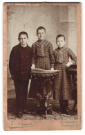 Fotografie K. Frank, Rosenheim, Frühlingstrasse 13, Portrait Zwei Junge Mädchen Und Knabe In Hübscher Kleidung  - Anonymous Persons