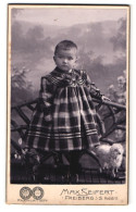 Fotografie Max Seifert, Freiberg I. S., Poststrasse 11, Kleinkind Im Karierten Kleid Mit Spielzeugschaf  - Personnes Anonymes