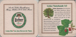 5005194 Bierdeckel Quadratisch - Licher - Beer Mats