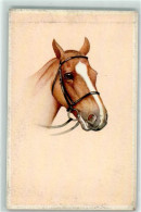 39263541 - - Horses