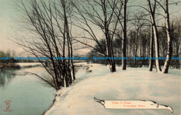 R674608 Trees In Snow. Untrodden Snow. Knight Brothers. Series No. 1864 - Monde