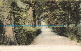 R674644 I. O. W. Ryde. Spencer Road. F. G. O. Stuart. 1904 - Monde
