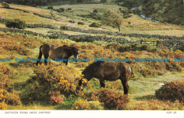 R674653 Dartmoor Ponies Above Dartmeet. Jarrold. Cotman Color - Monde