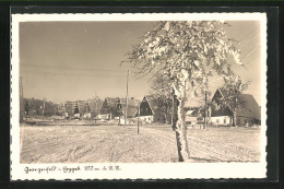 AK Georgenfeld I. Erzgeb., Ortspartie Mit Baum Im Schnee  - Autres & Non Classés