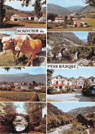64-PAYS BASQUE-N°2789-A/0141 - Other & Unclassified