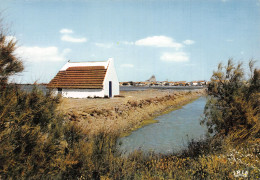 13-CAMARGUE UNE CABANE-N°2791-C/0057 - Other & Unclassified