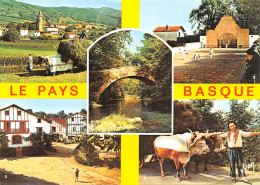 64-PAYS BASQUE-N°2791-C/0029 - Other & Unclassified