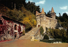 43-CHÂTEAU DE LA ROCHELAMBERT-N°2791-B/0333 - Autres & Non Classés