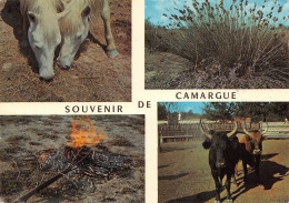 13-SOUVENIR DE CAMARGUE-N°2791-A/0047 - Other & Unclassified