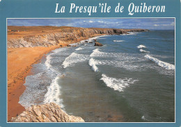 56-QUIBERON-N°2791-D/0277 - Quiberon