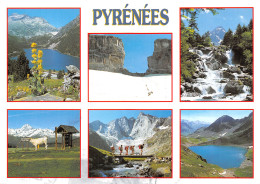 65-LES PYRENEES-N°2791-D/0243 - Other & Unclassified