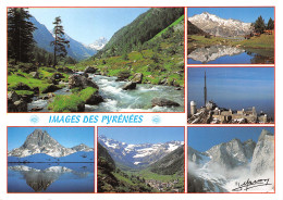 65-VALLEE DU LUTOUR-N°2791-D/0221 - Other & Unclassified