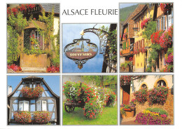 67-ALSACE-N°2791-C/0307 - Other & Unclassified