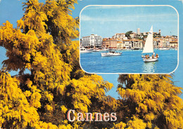 06-CANNES-N°2792-C/0051 - Cannes