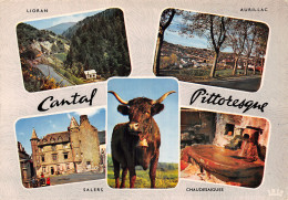 15-LE CANTAL-N°2792-B/0085 - Other & Unclassified