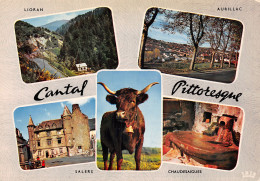 15-LE CANTAL-N°2792-B/0069 - Other & Unclassified