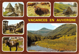 15-AUVERGNE-N°2792-B/0059 - Other & Unclassified