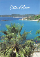 83-COTE D AZUR-N°2793-B/0339 - Other & Unclassified