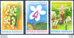 Flora. Orchidee 1977. - Indonesia