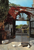 06-SAINT PAUL DE VENCE-N°2793-C/0091 - Saint-Paul