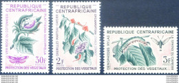 Flora E Fauna 1965. - Centrafricaine (République)
