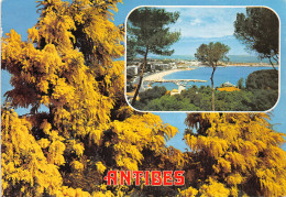 06-ANTIBES-N°2794-A/0341 - Autres & Non Classés