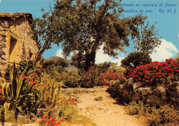 06-COTE D AZUR PAYSAGE PROVENCAL-N°2795-B/0059 - Sonstige & Ohne Zuordnung