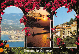 83-BORMES LES MIMOSAS-N°2795-A/0235 - Bormes-les-Mimosas