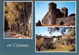48-CEVENNES -N°2794-D/0367 - Other & Unclassified