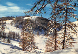 06-VALBERG-N°2794-D/0121 - Autres & Non Classés