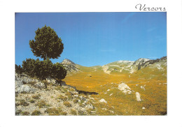 38-LE VERCORS-N°2795-D/0237 - Other & Unclassified