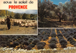 06-PROVENCE-N°2795-C/0107 - Autres & Non Classés