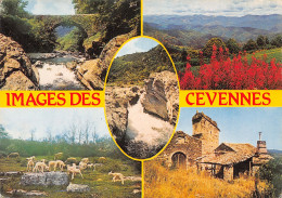 48-LES CEVENNES-N°2795-B/0257 - Other & Unclassified