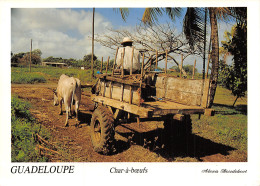971-GUADELOUPE BAIE MAHAULT CHAR A BŒUFS-N°2796-C/0149 - Other & Unclassified