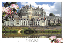 37-AMBOISE-N°2796-C/0139 - Amboise