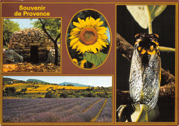 83-PROVENCE-N°2796-C/0001 - Other & Unclassified