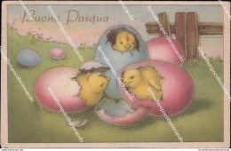 Ah877 Cartolina  Buona Pasqua Pulcini - Other & Unclassified