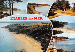 22-ETABLES SUR MER-N°2797-B/0009 - Etables-sur-Mer