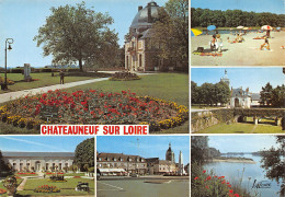 45-CHATEAUNEUF SUR LOIRE-N°2797-A/0181 - Other & Unclassified