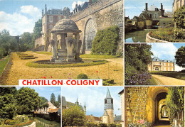 45-CHATILLON COLIGNY-N°2797-A/0141 - Chatillon Coligny