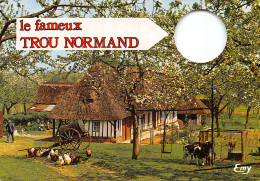 50-NORMANDIE LE TROU NORMAND-N°2796-D/0113 - Other & Unclassified