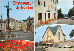 48-CHATEAUNEUF DE RANDON-N°2797-C/0179 - Chateauneuf De Randon