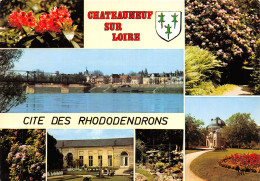 45-CHATEAUNEUF SUR LOIRE-N°2797-B/0365 - Autres & Non Classés