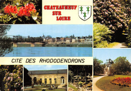 45-CHATEAUNEUF SUR LOIRE-N°2797-B/0281 - Other & Unclassified