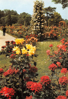 75-PARIS PARC DE BAGATELLE LA ROSERAIE-N°2798-C/0359 - Parks, Gardens