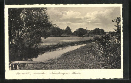 AK Munster, Oertzetal In Der Lüneburger Heide  - Munster