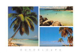 971-GUADELOUPE PLAGE SAINT ANNE-N°2799-D/0097 - Other & Unclassified