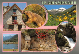 05-LE CHAMPSAUR-N°2799-D/0099 - Autres & Non Classés